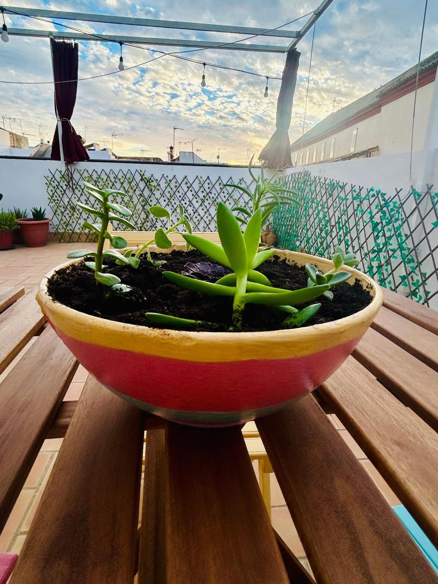 La Azotea Del Sol Apartment Seville Ngoại thất bức ảnh