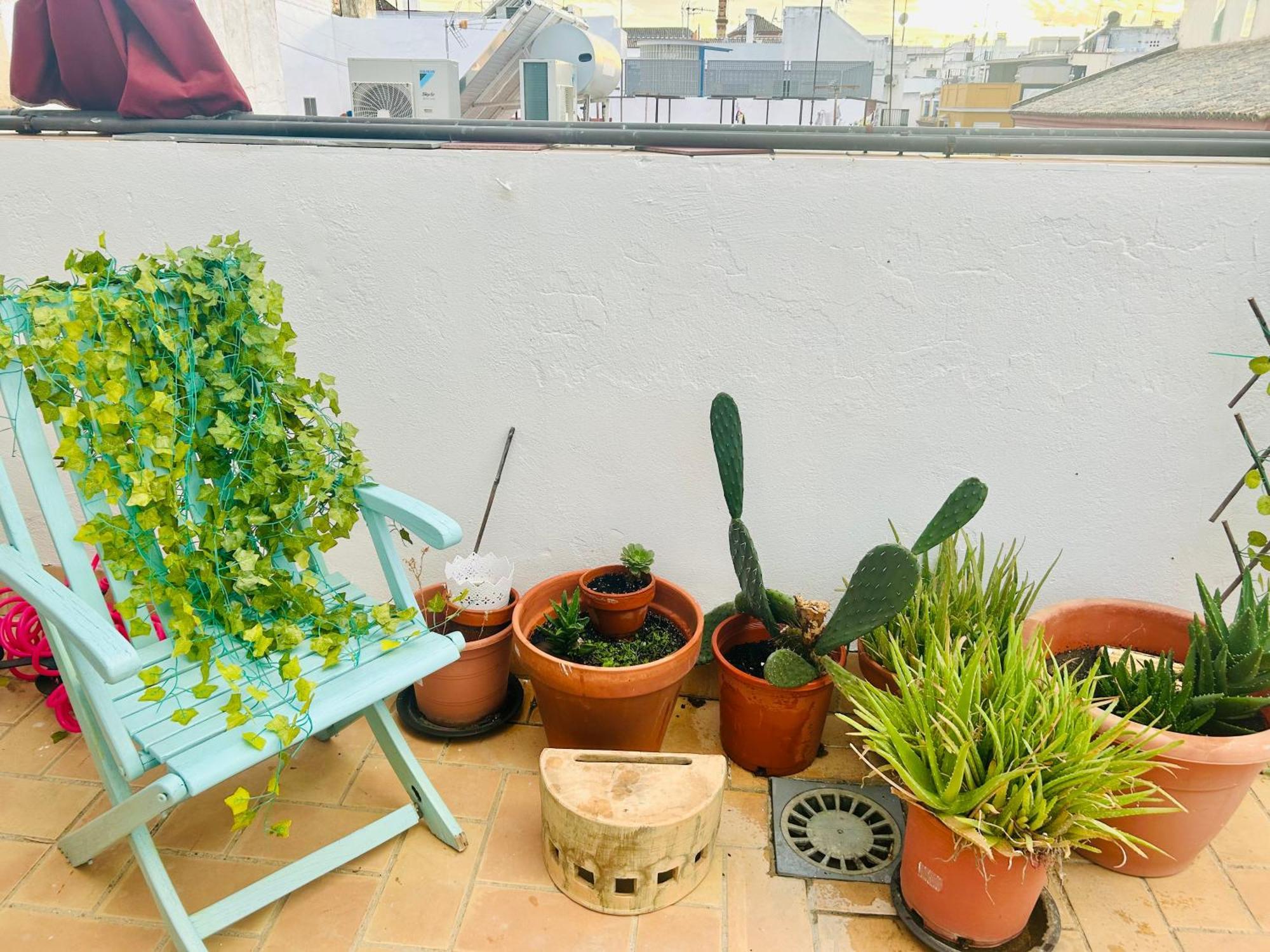 La Azotea Del Sol Apartment Seville Ngoại thất bức ảnh